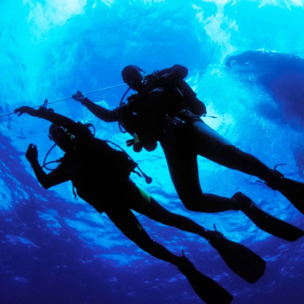 Life on the reef in Grand Cayman 3