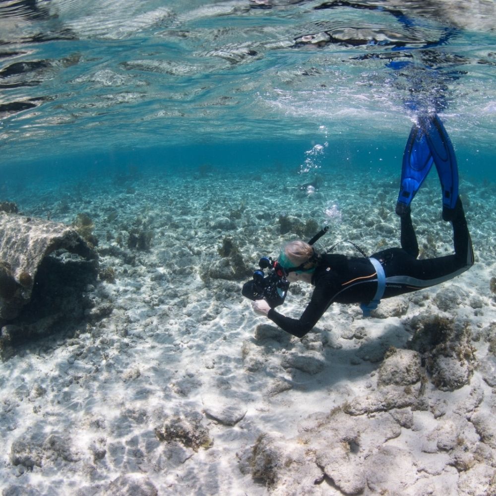 Snorkelling in Grand Cayman 4