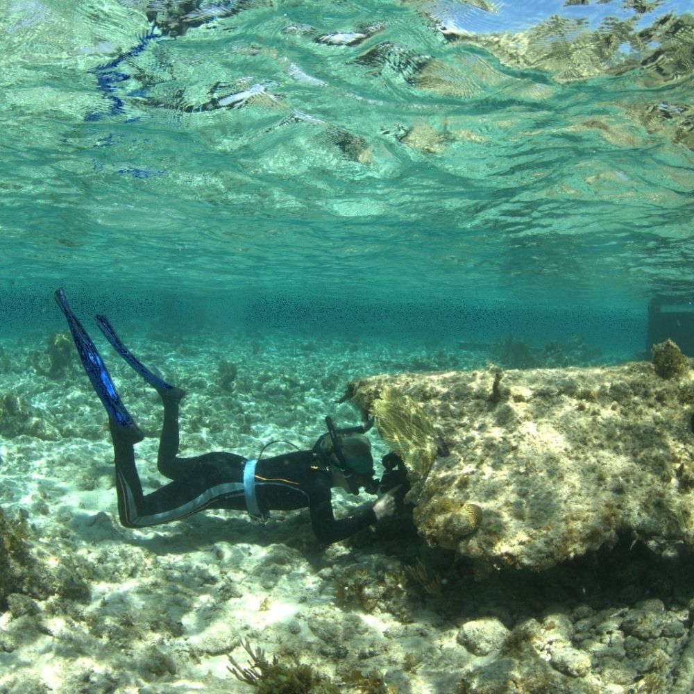 Snorkelling in Grand Cayman 6