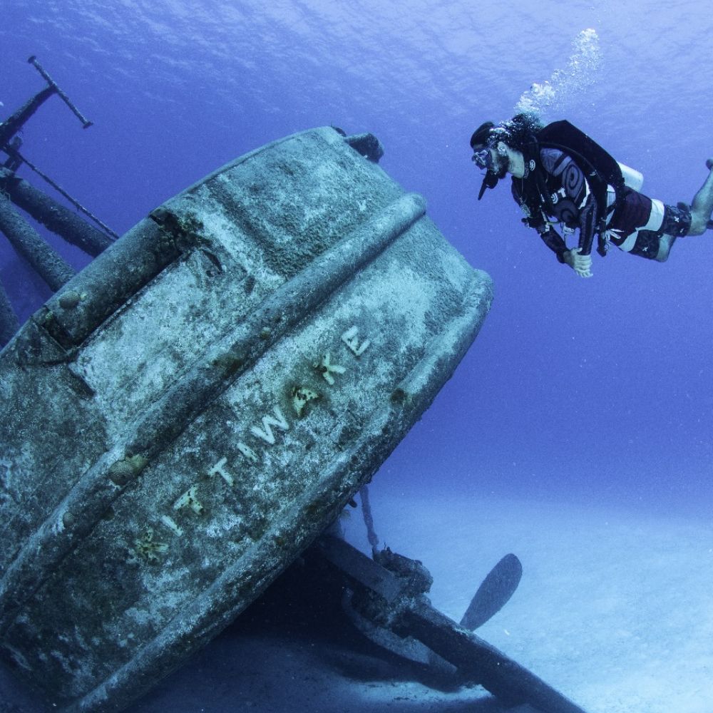 Kittiwake Wreck