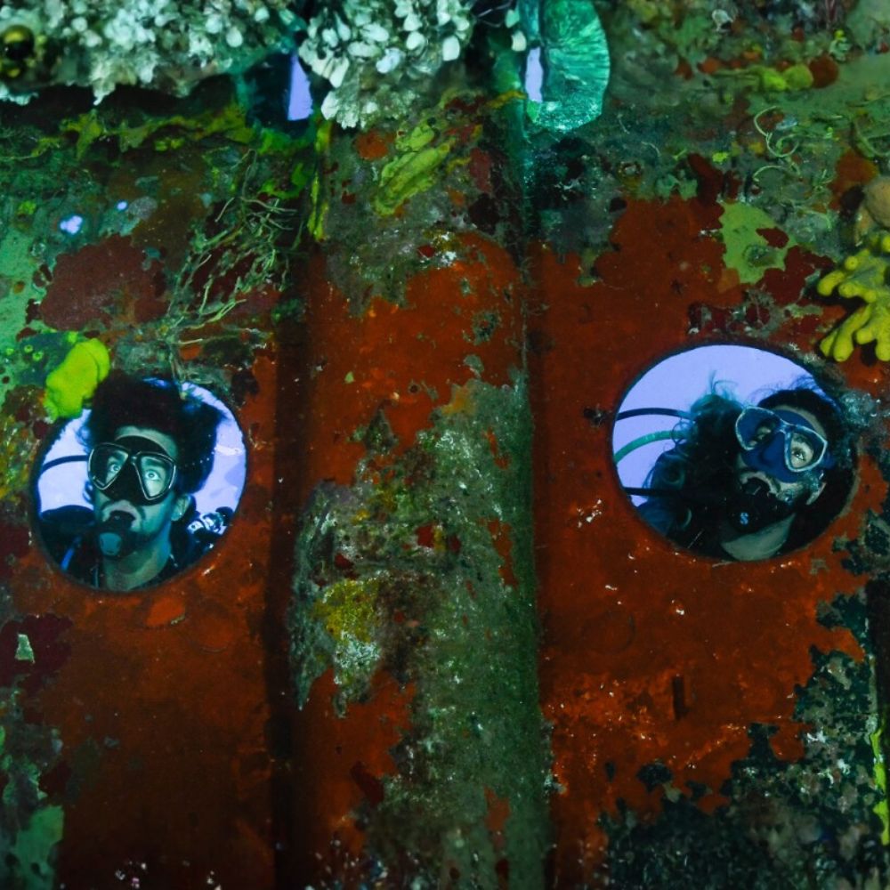Kittiwake Wreck 3