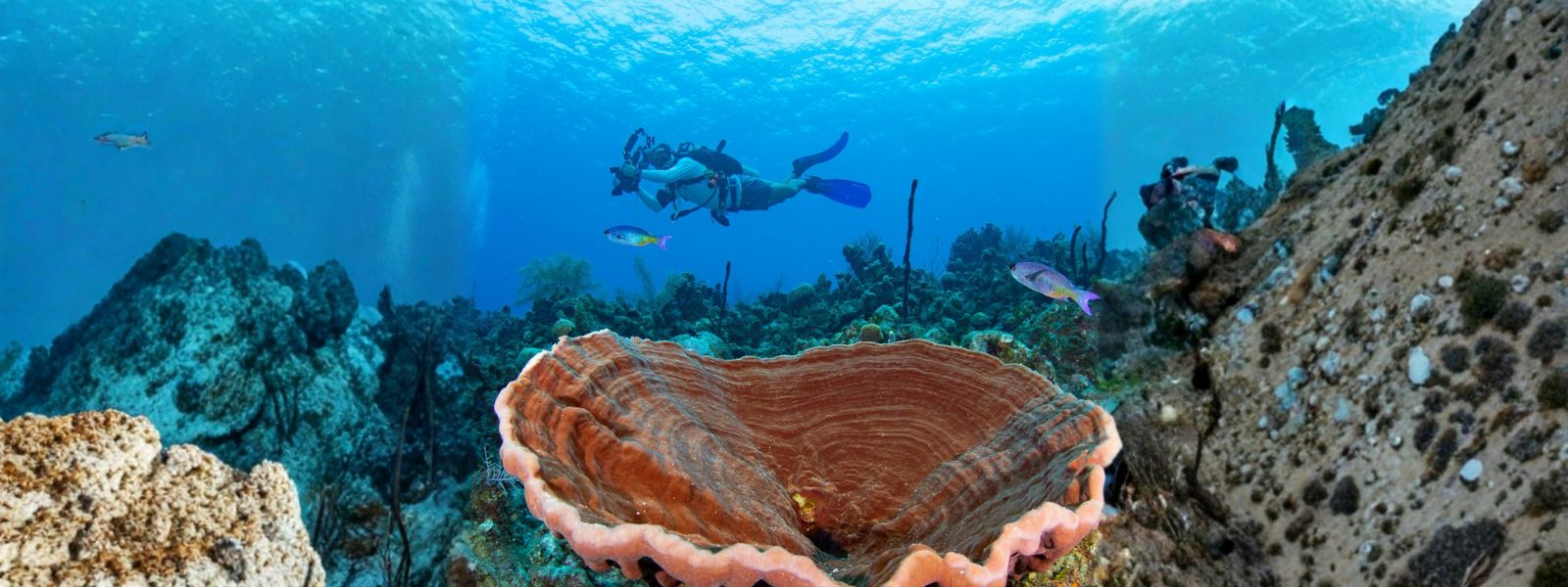 Adventure Diving 6