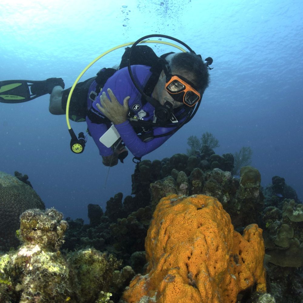 Diver exploring a Grand Cayman reef