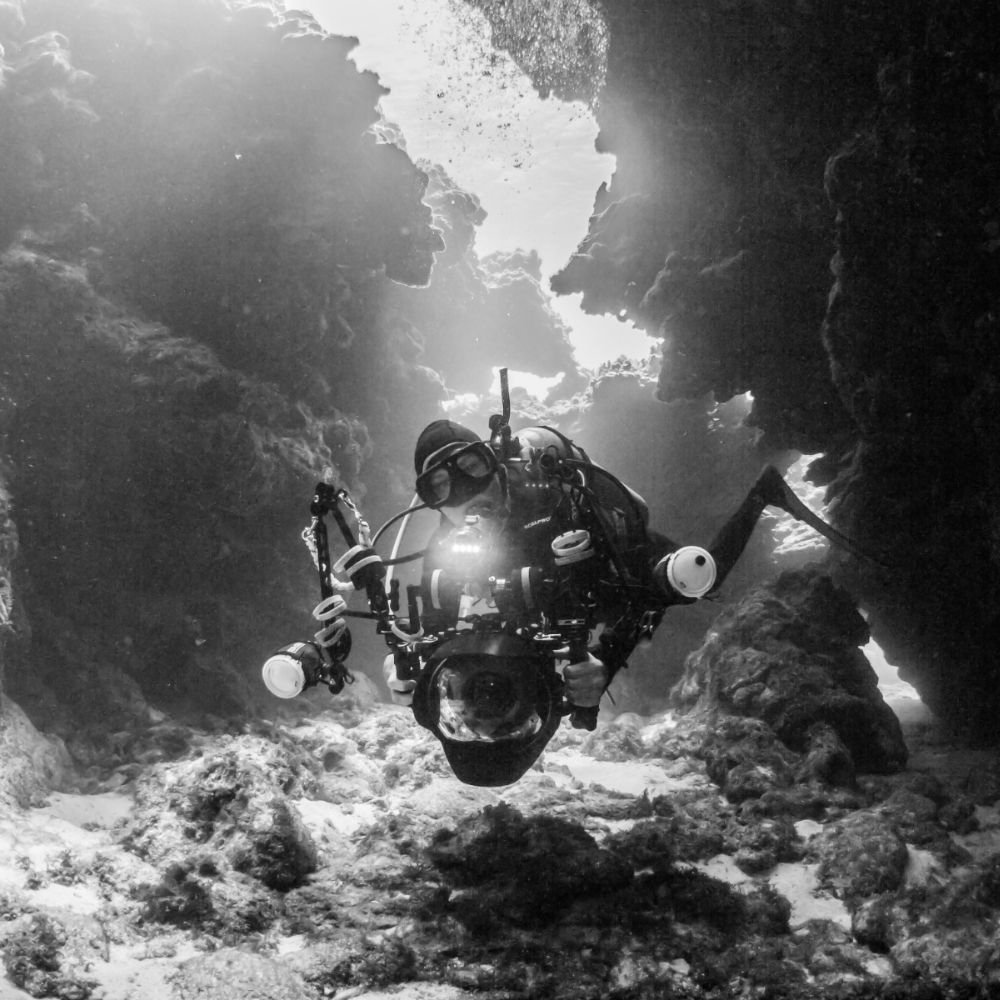 Digital underwater photography course 6